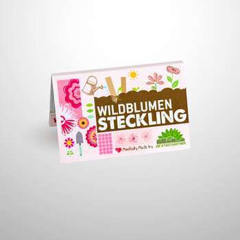 Wildblumensteckling